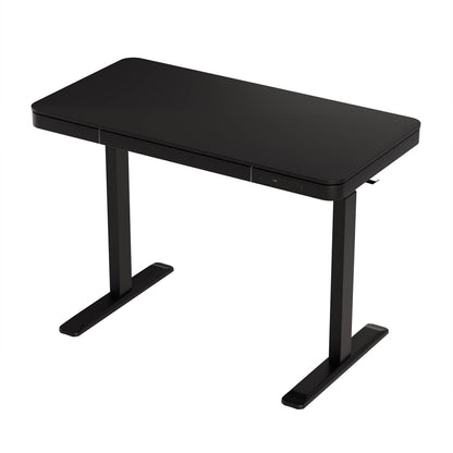 Artiss Standing Desk Motorised Electric Motor Drawer 120CM Black